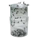 Fly feeder