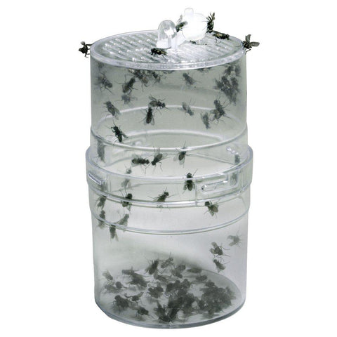 Fly feeder